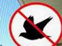 鳥害対策工事